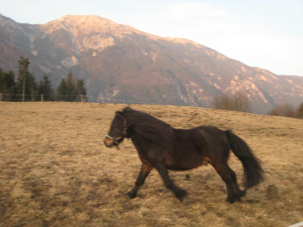 Haus Kaiser Passriach Buitenkant foto